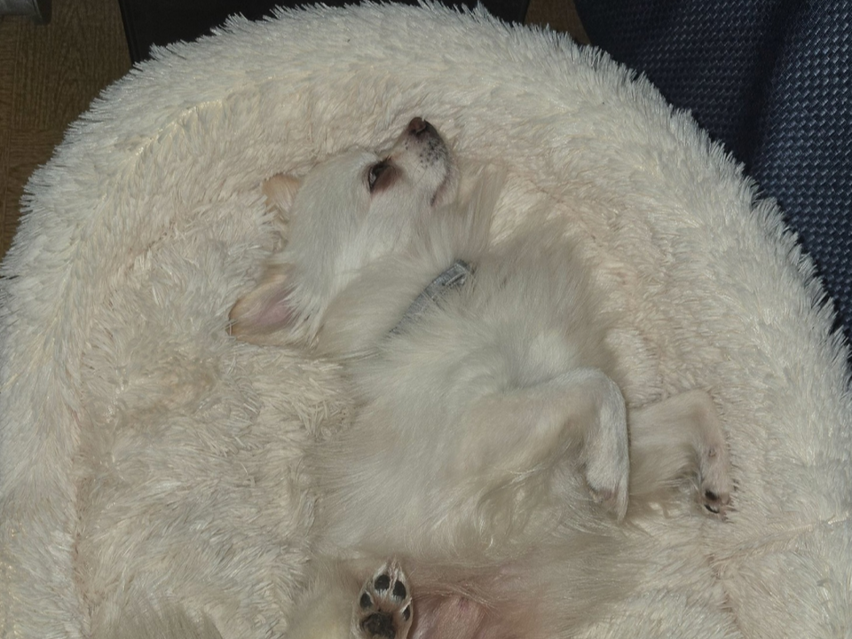 Фото: Ирина Комогорова