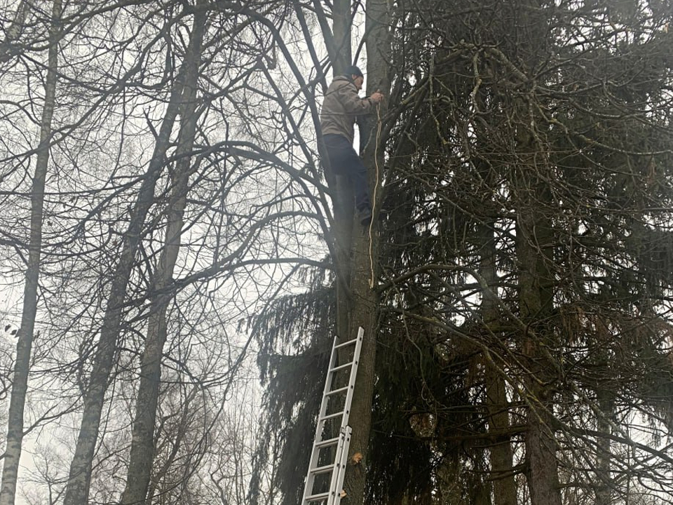 Фото: МБУК  «Городской парк культуры и отдыха»