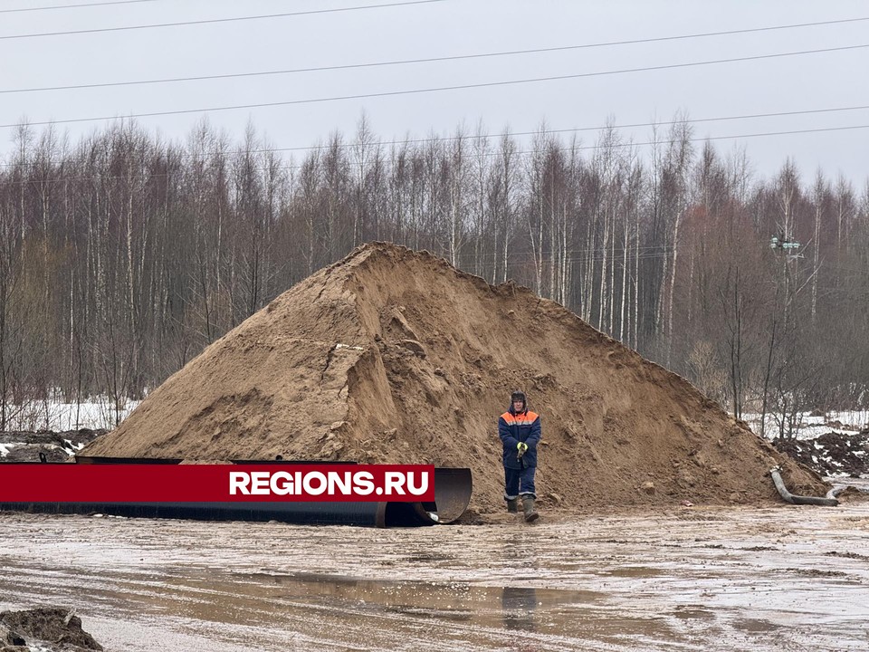 Фото: Татьяна Рунова