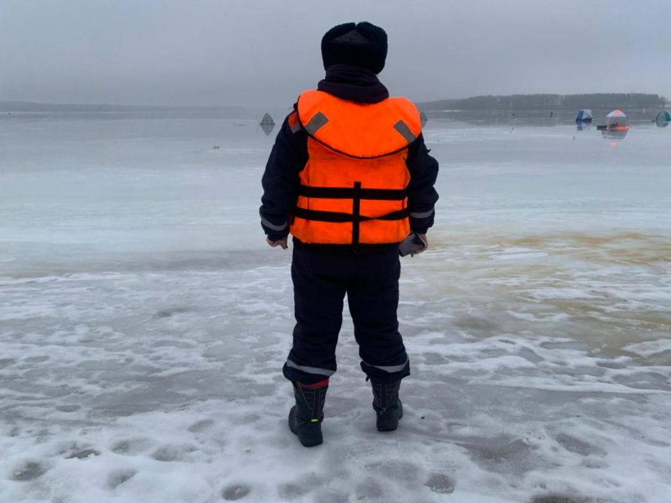 Фото: ГКУ МО «Мособлпожспас»