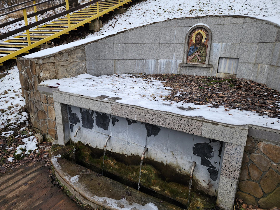 Фото: Дмитрий Алексеенко