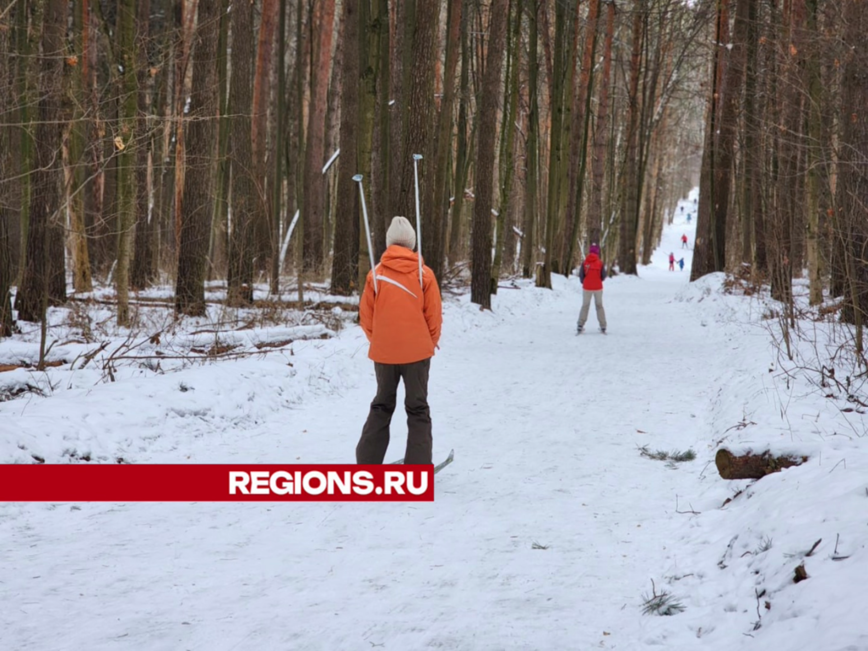 Фото: Светлана Плотникова