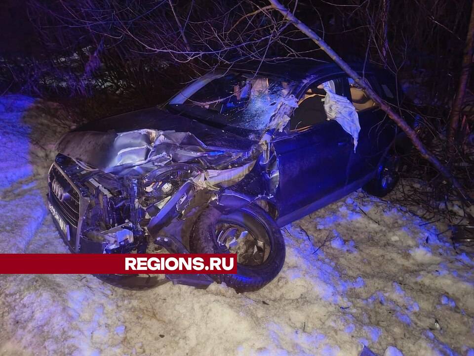 Фото: ЕДДС Орехово-Зуевского округа