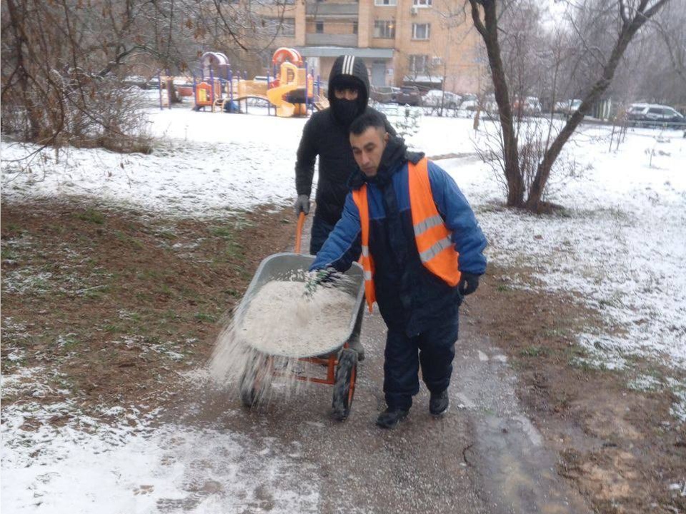 Фото: МЦУР Одинцовского г.о.