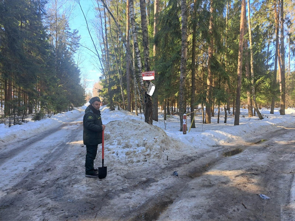 Фото: Комитет лесного хозяйства Московской области