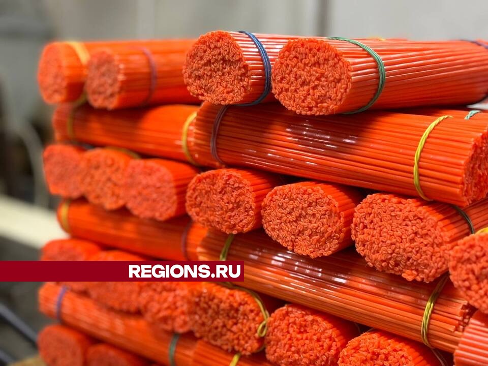 Фото: Светлана Плотникова
