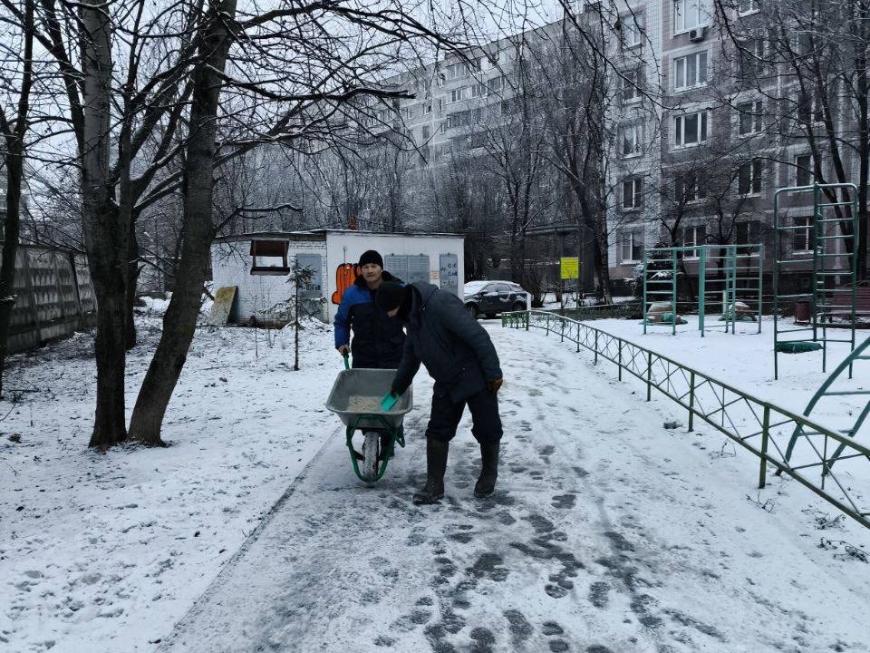 Фото: МЦУР Одинцовского г.о.