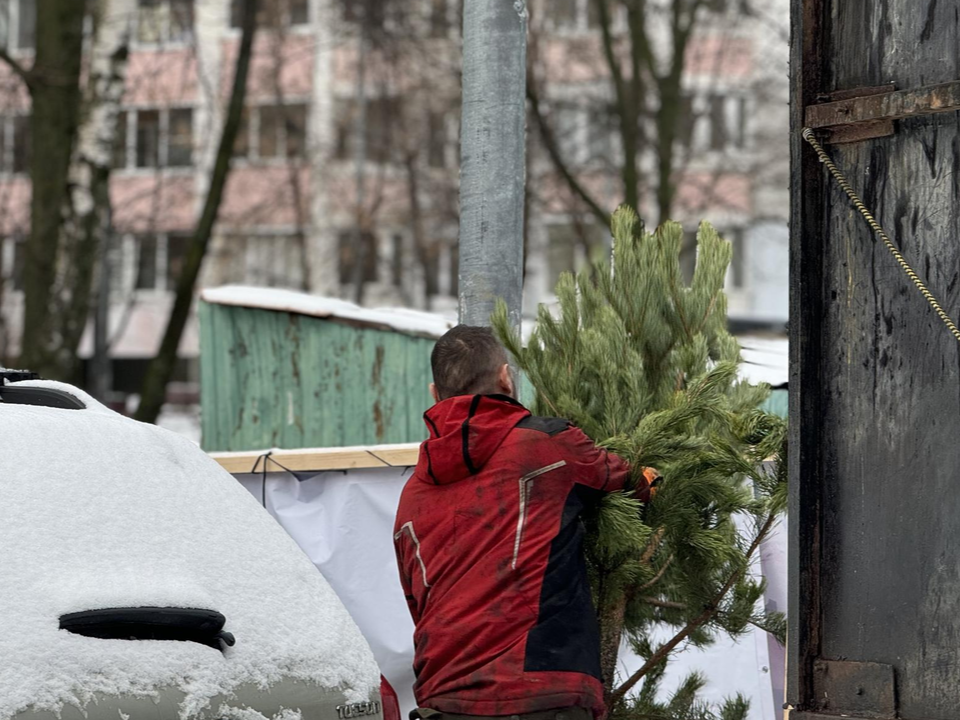 Фото: Полина Абраменко