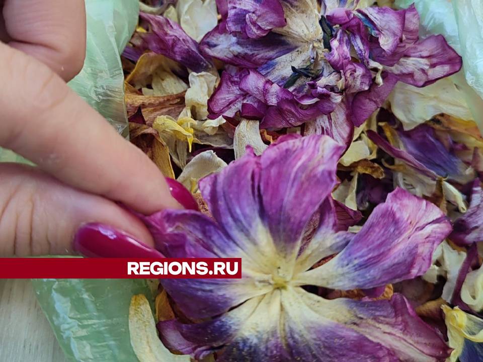 Фото: Мария Шигорева