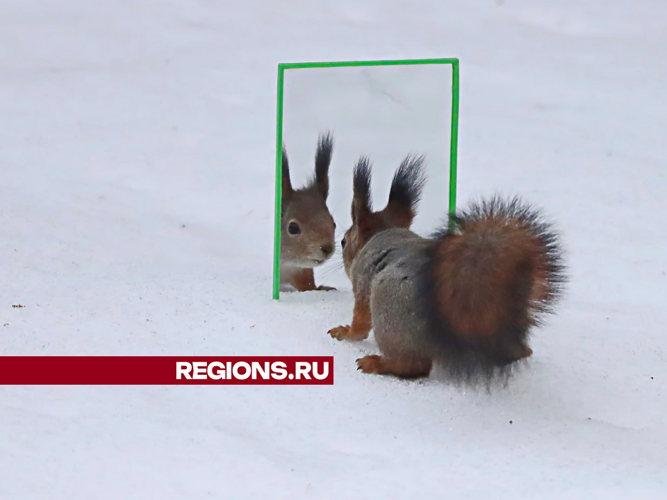 Фото: личный архив Сергея Маслова