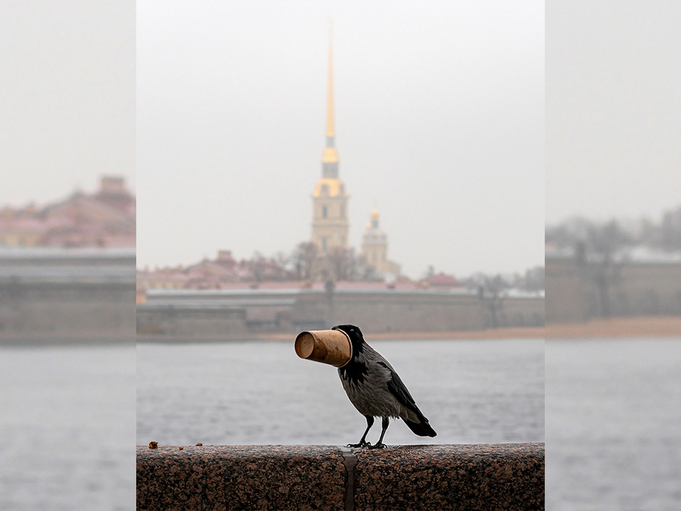 Фото: Павел Акме