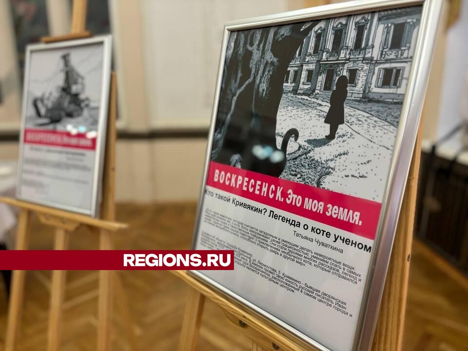 Фото: Светлана Плотникова