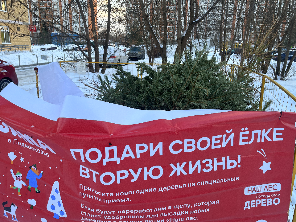 Фото: МедиаБанк Подмосковья/Елизавета Приймак