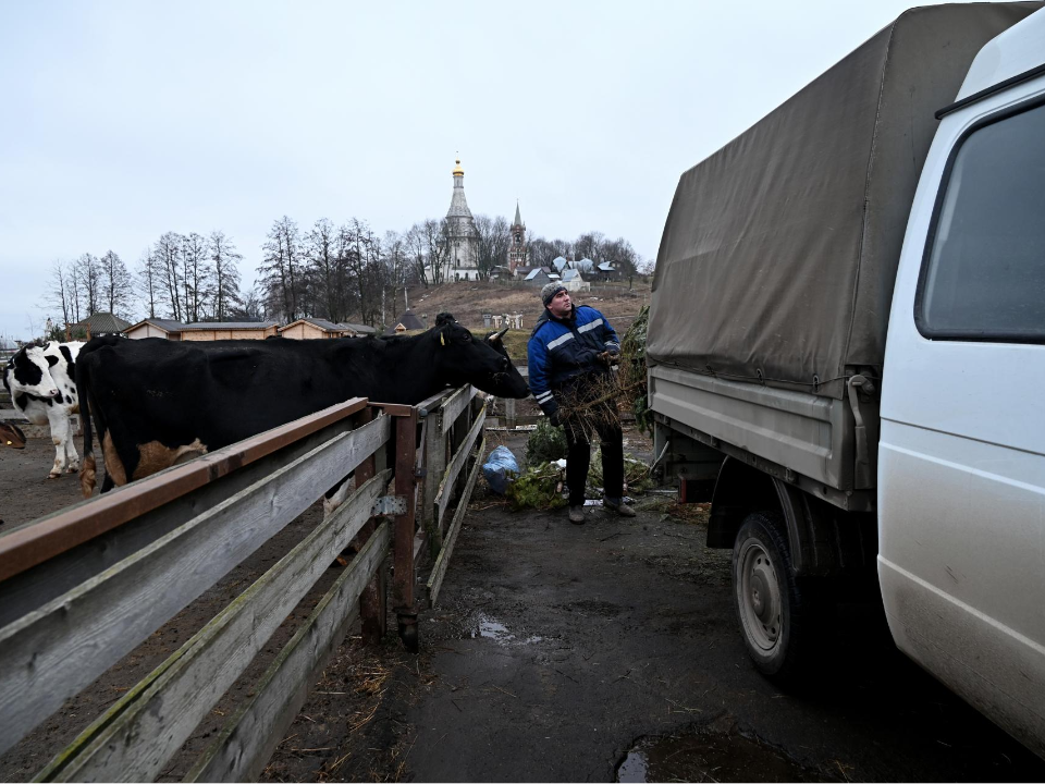 Фото: пресс-служба администрации г.о. Ленинский