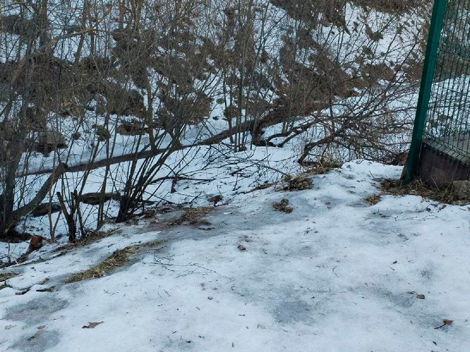 Фото: администрация городского округа Лосино-Петровский