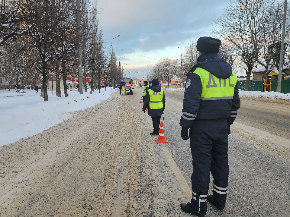 Фото: МедиаБанк Подмосковья/Александр Степушкин