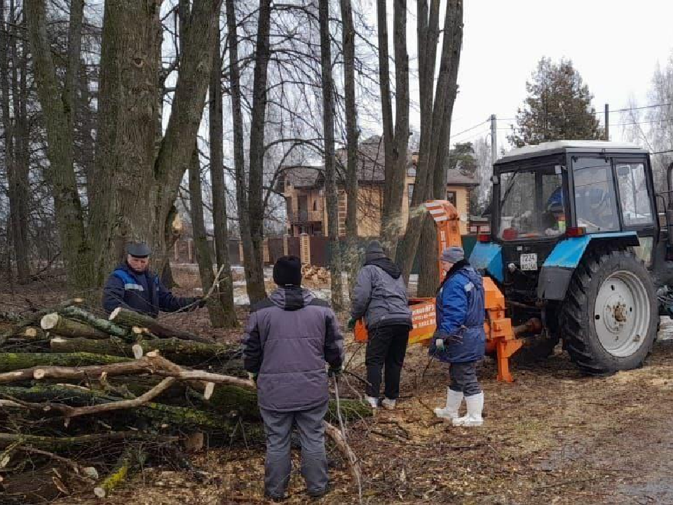 Фото: пресс-служба администрации г.о. Дмитров