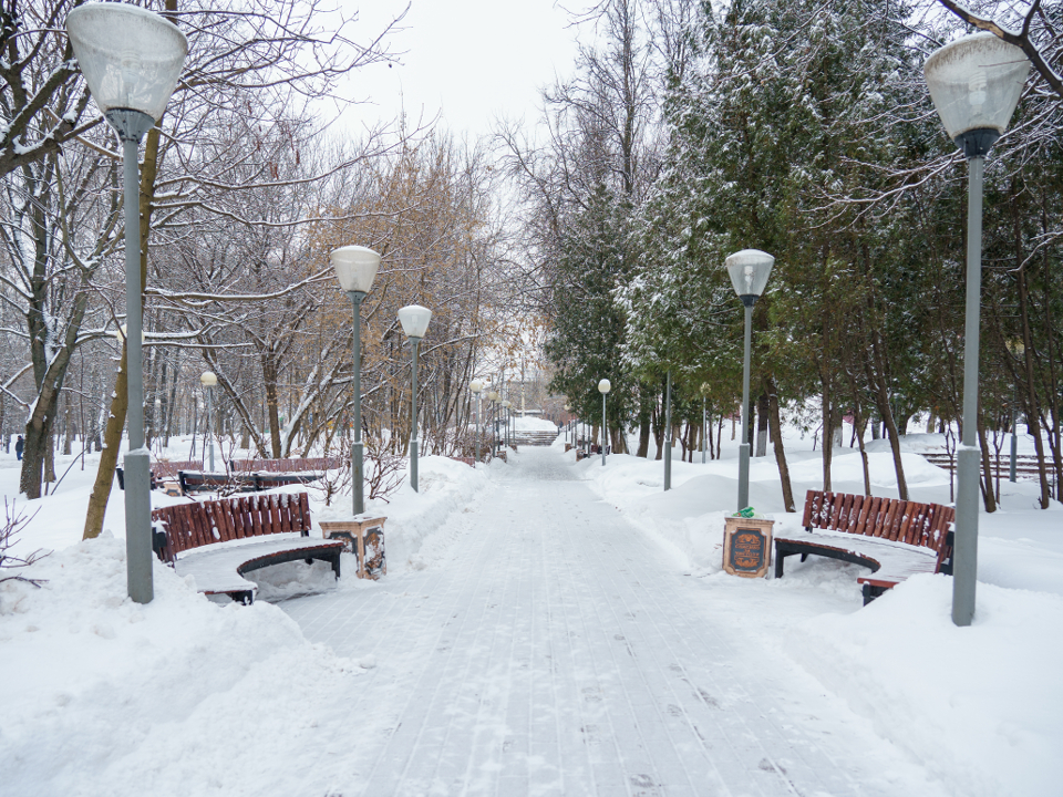 Фото: медиасток.рф