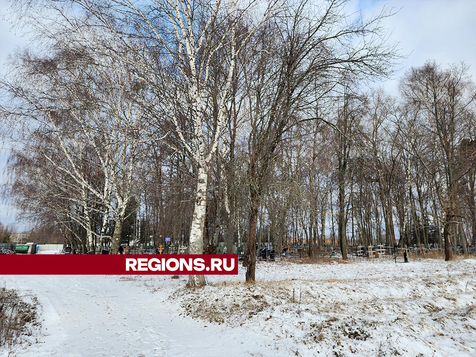 Фото: REGIONS/Валерий Гореловский