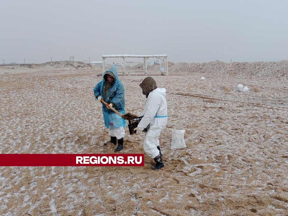 Фото: личный архив Артура Тиллябаева