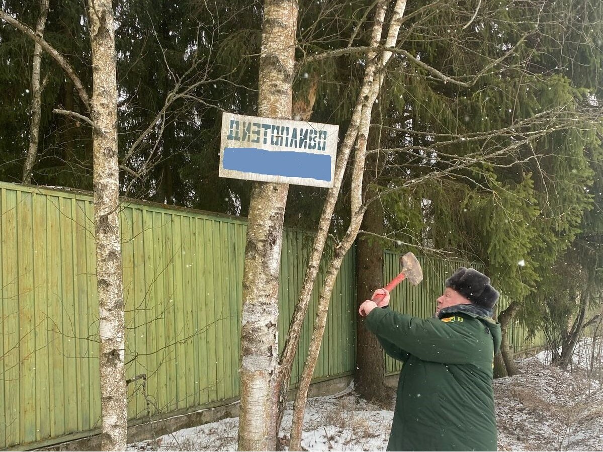 Фото: ГКУ МО «Мособллес»