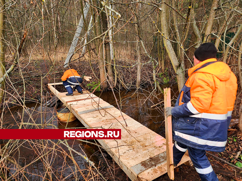 Фото: Оксана Лапшина 