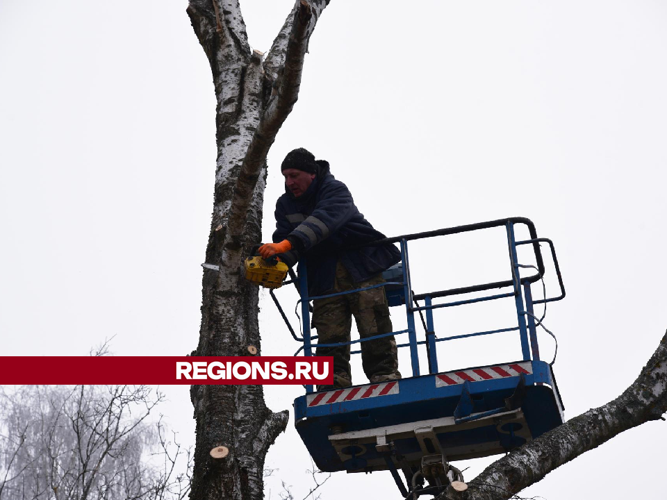 Фото: Владимир Останин