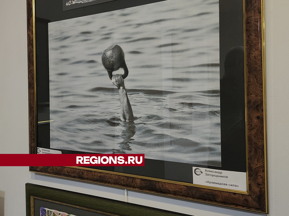 Фото: Андрей Семибратов