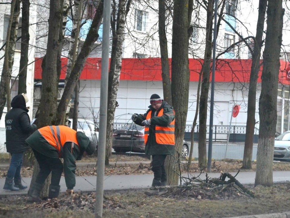 Фото: администрация Краснознаменска