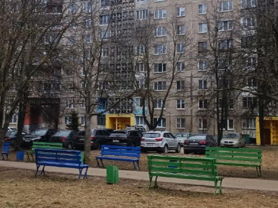 Фото: пресс-служба администрации г.о. Воскресенск