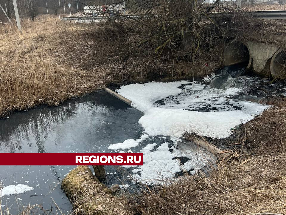 Фото: личный архив Дмитрия Куприенко