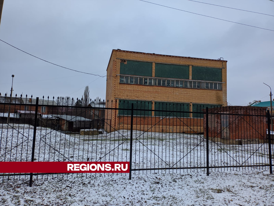 Фото: REGIONS/Дарья Кургузова