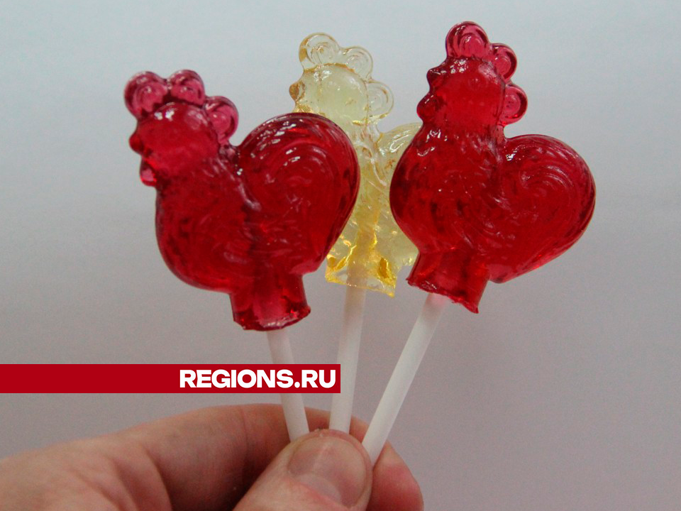 Фото: REGIONS/Василий Тремасов