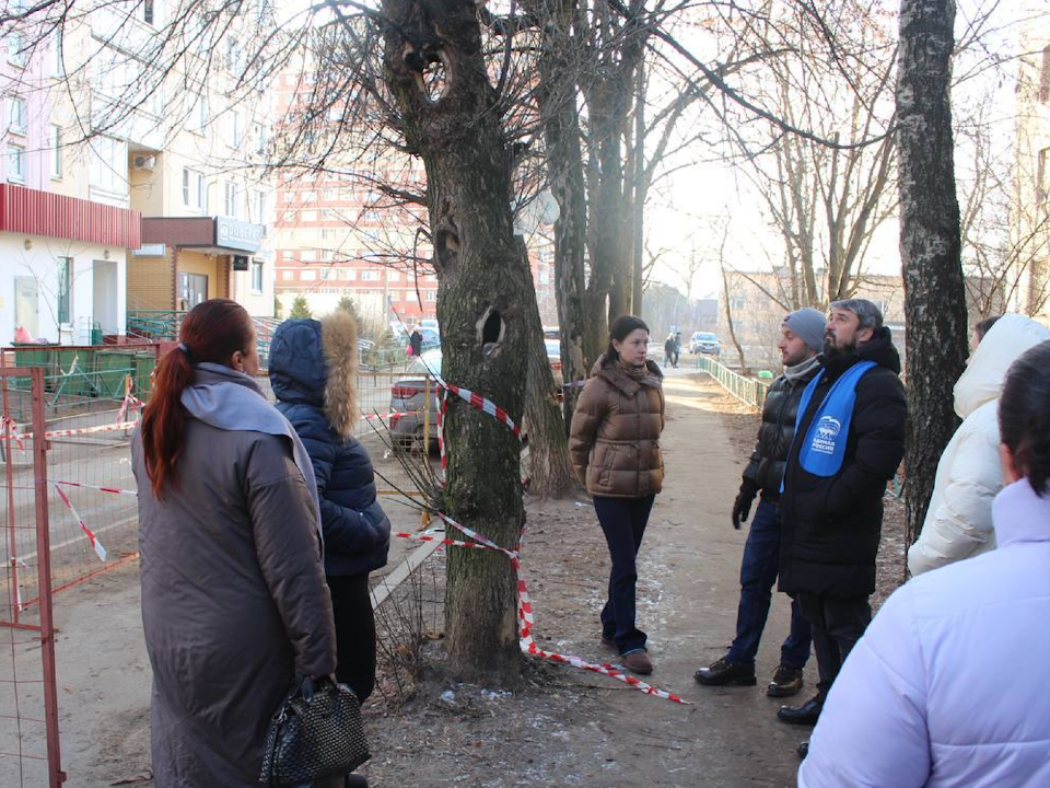 Наталья Силаева осматривает аварийное дерево.  Фото: пресс-служба администрации г. о. Фрязино 