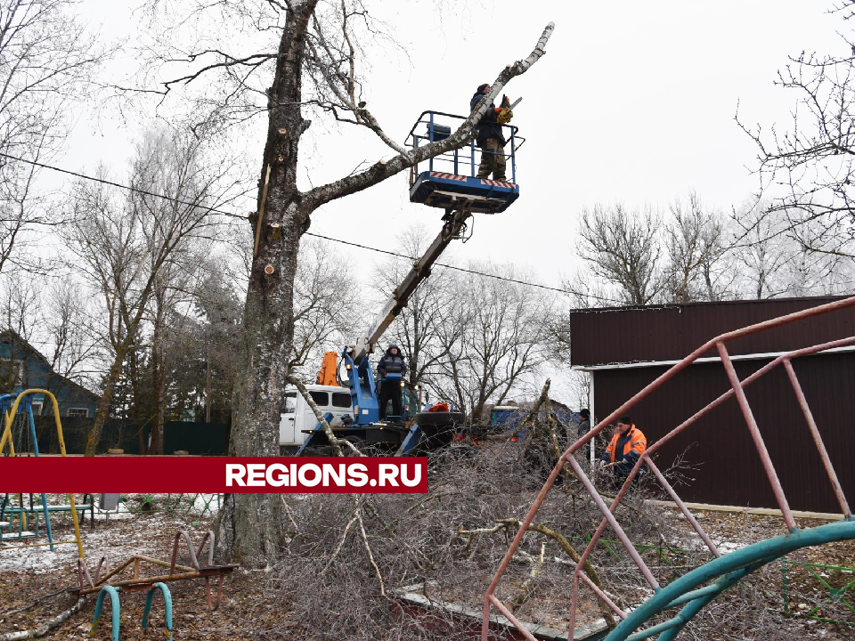 Фото: Владимир Останин