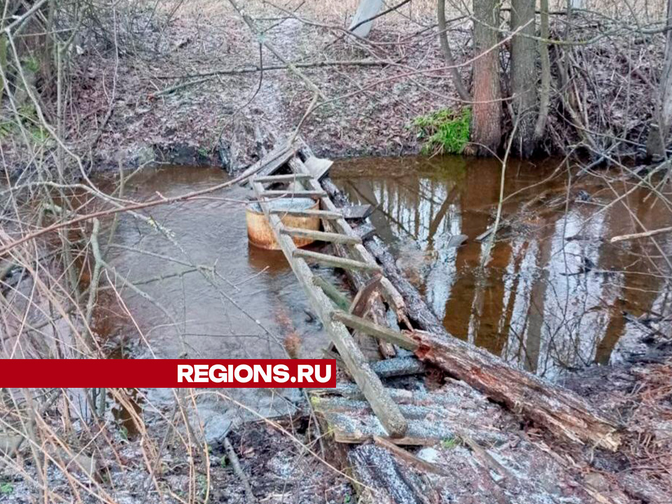 Фото: Оксана Лапшина 