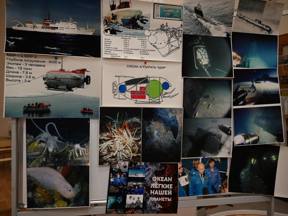 Фото: пресс-служба администрации г.о. Ленинский 