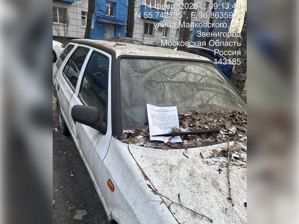 Фото: администрация Одинцовского городского округа