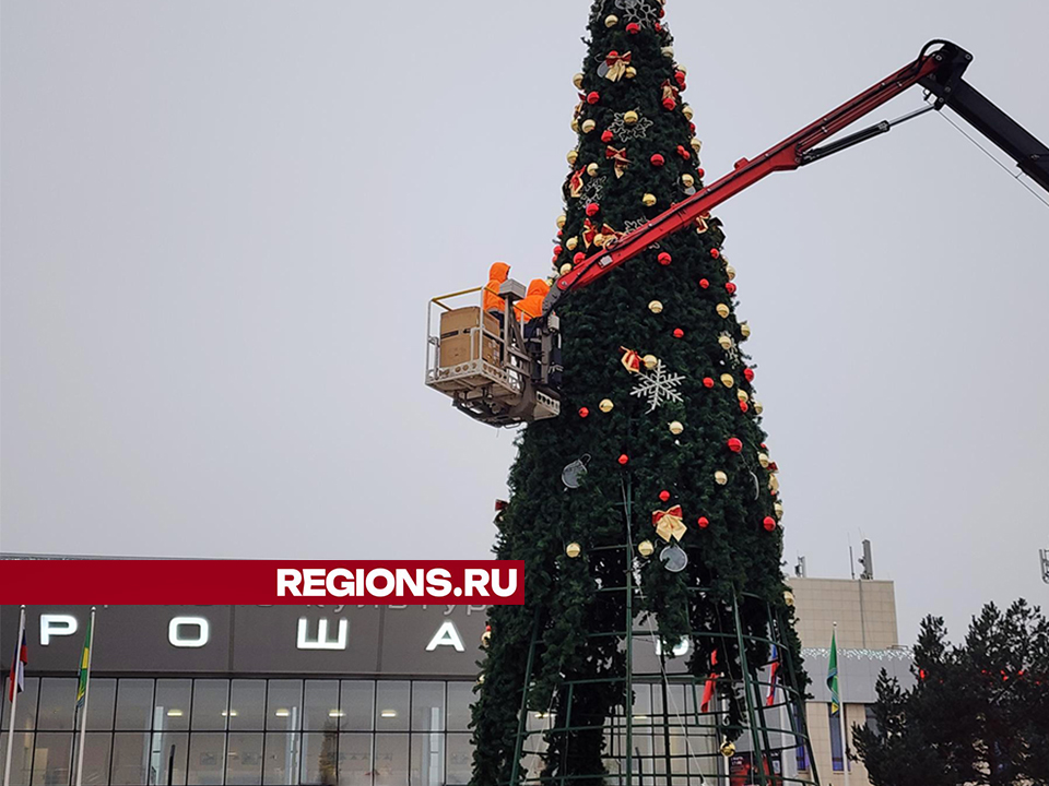 Фото: Оксана Лапшина