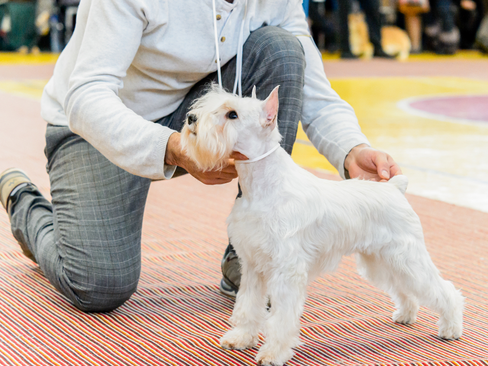 Фото: медиасток.рф