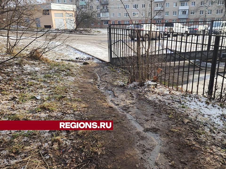 Фото: МедиаБанк Подмосковья/Ольга Шеметова