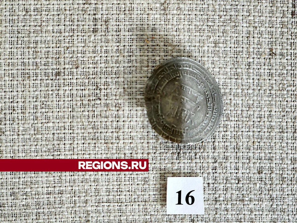 Фото: REGIONS/Мария Панина