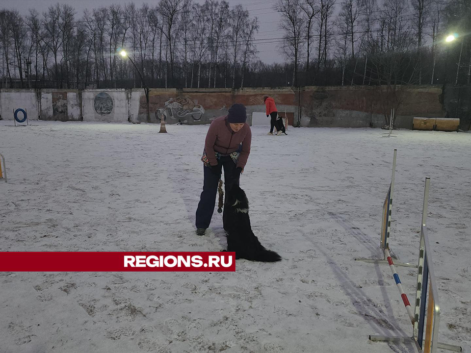 Фото: Михаил Раскин