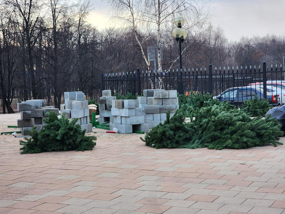 Фото: Услада Дубинина 