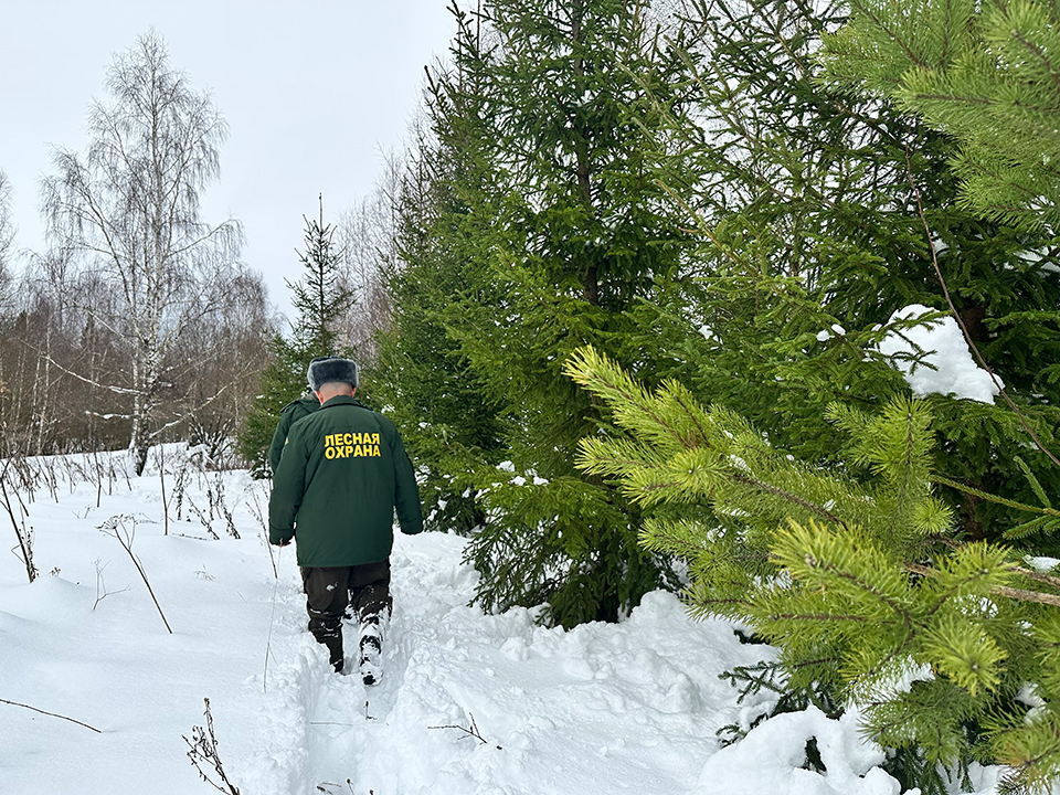 Фото: МедиаБанк Подмосковья/Закирова Лилия