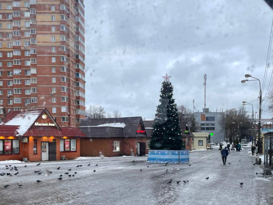 Фото: пресс-служба администрации г.о. Лобня