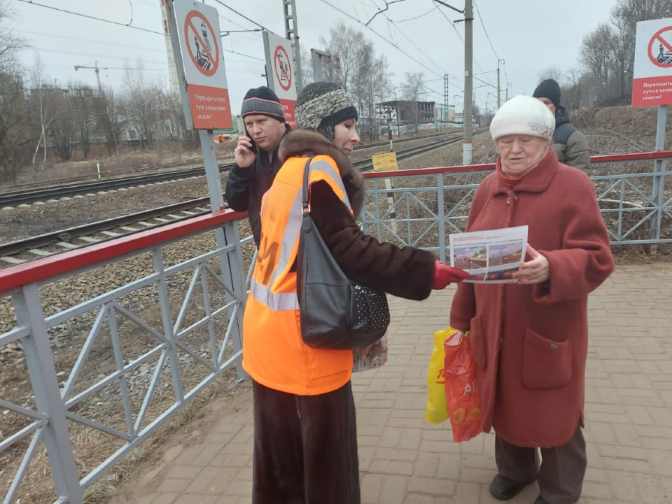 Фото: пресс-служба администрации г.о. Красногорск