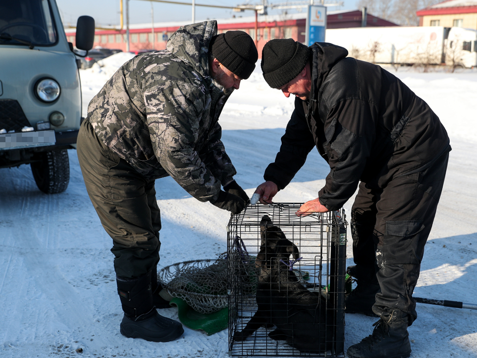 Фото: ТАСС/Данил Айкин