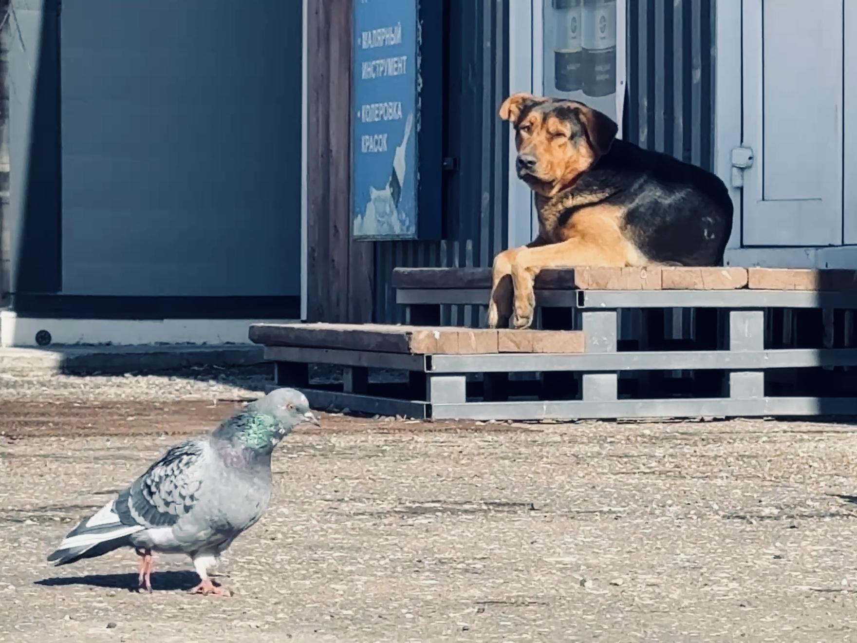 Фото: Ольга Стаферова