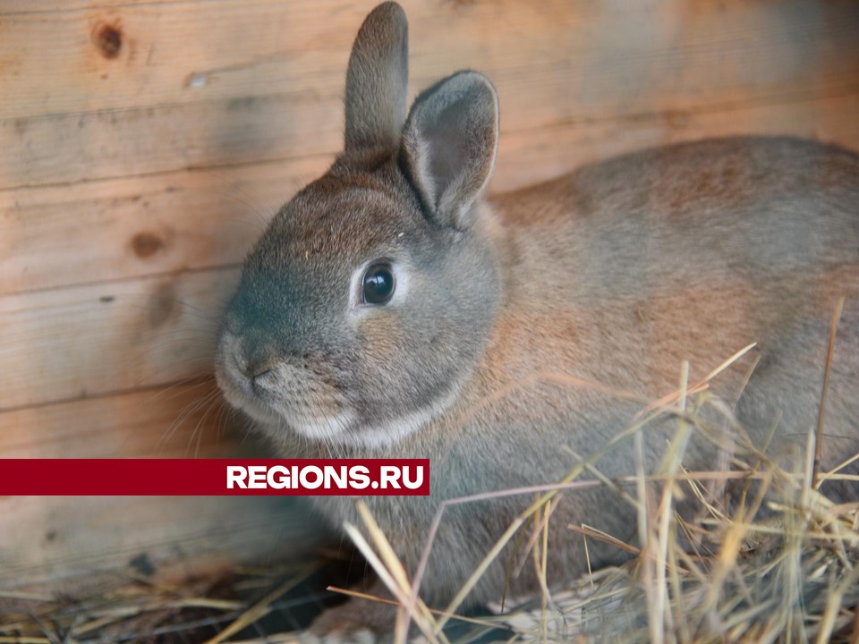 Фото: Владимир Останин